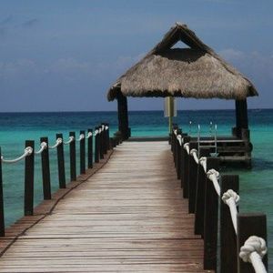 Meet your Posher, Joanne